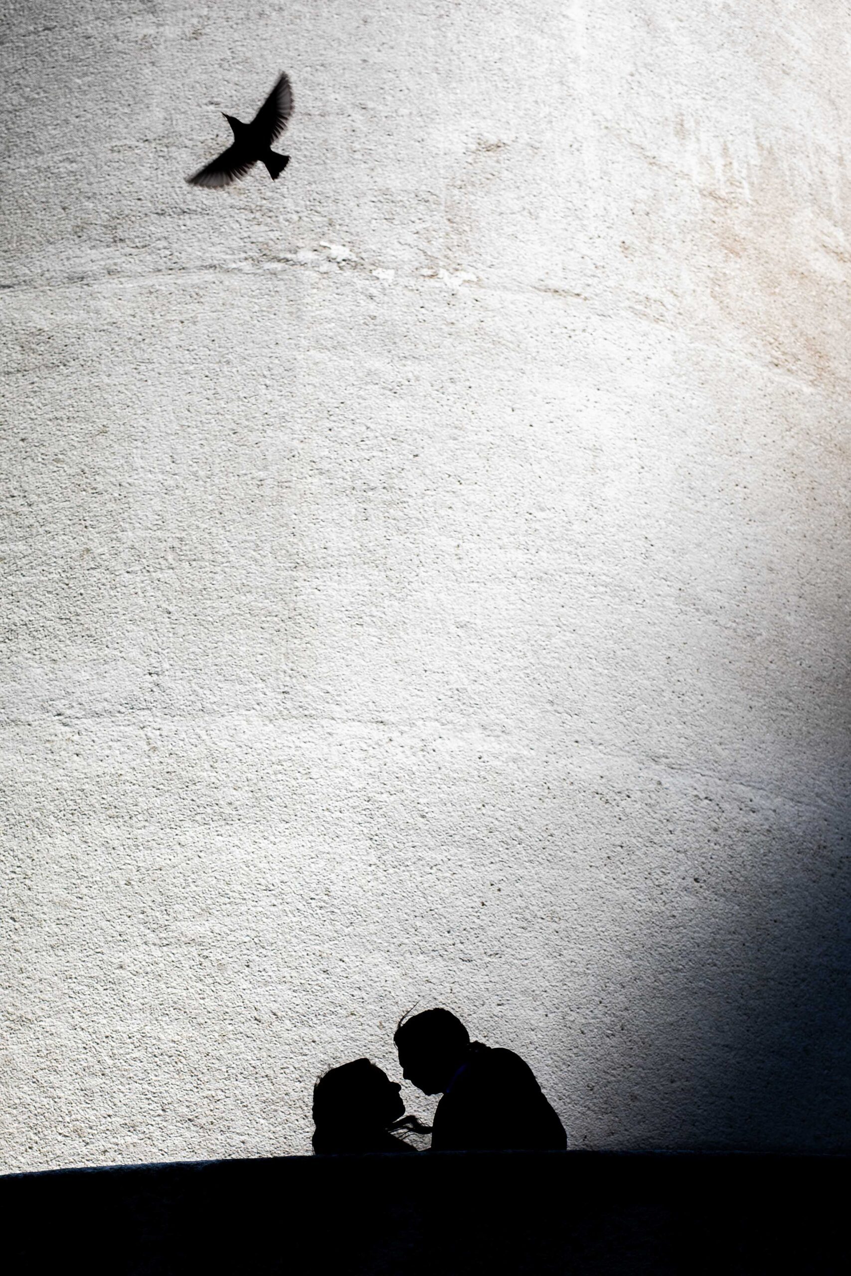Engagement Session Pictures by Dallas Photographer William Bichara