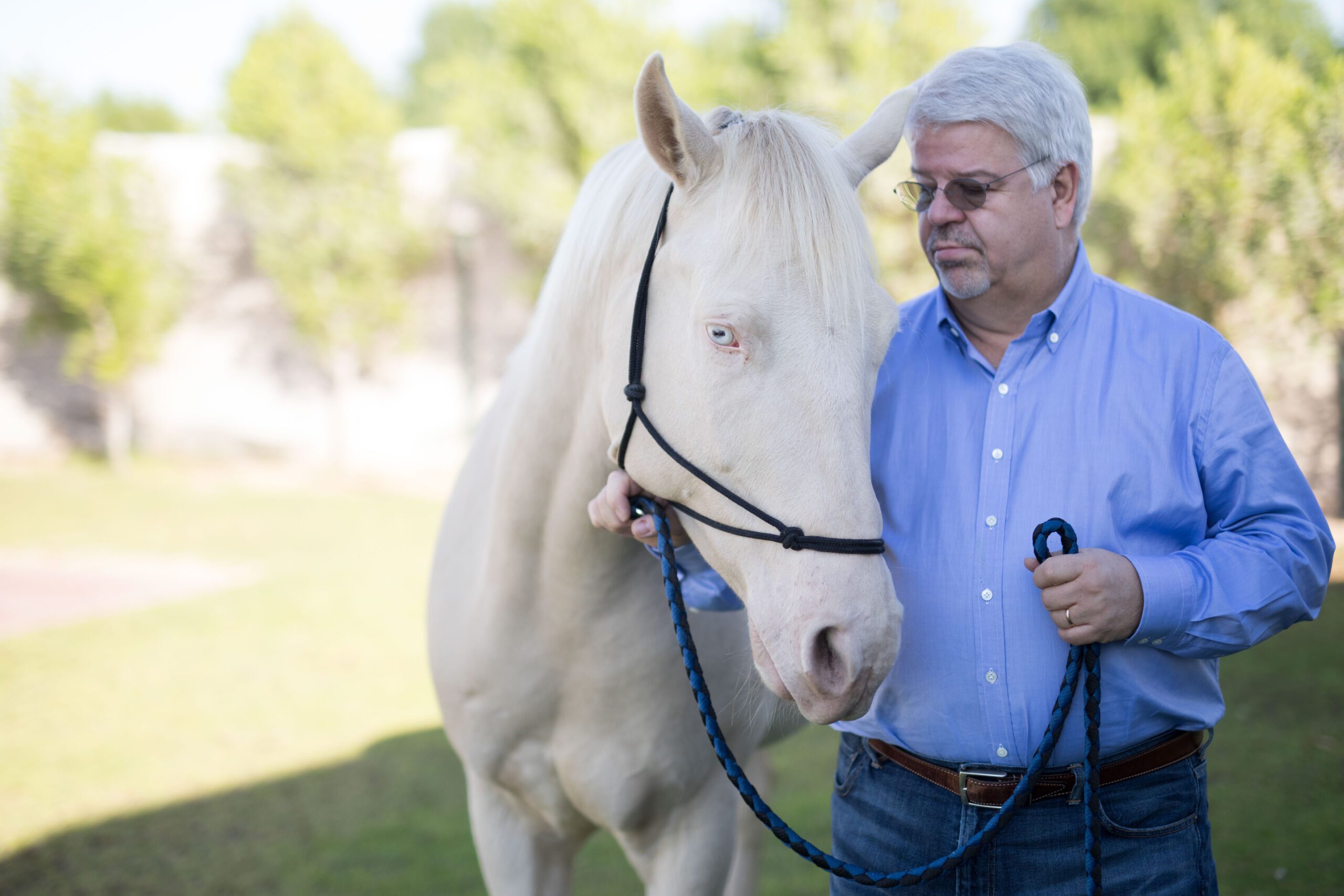 movenpick dubai team portfolio